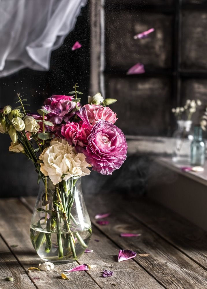 Цветы у подоконника