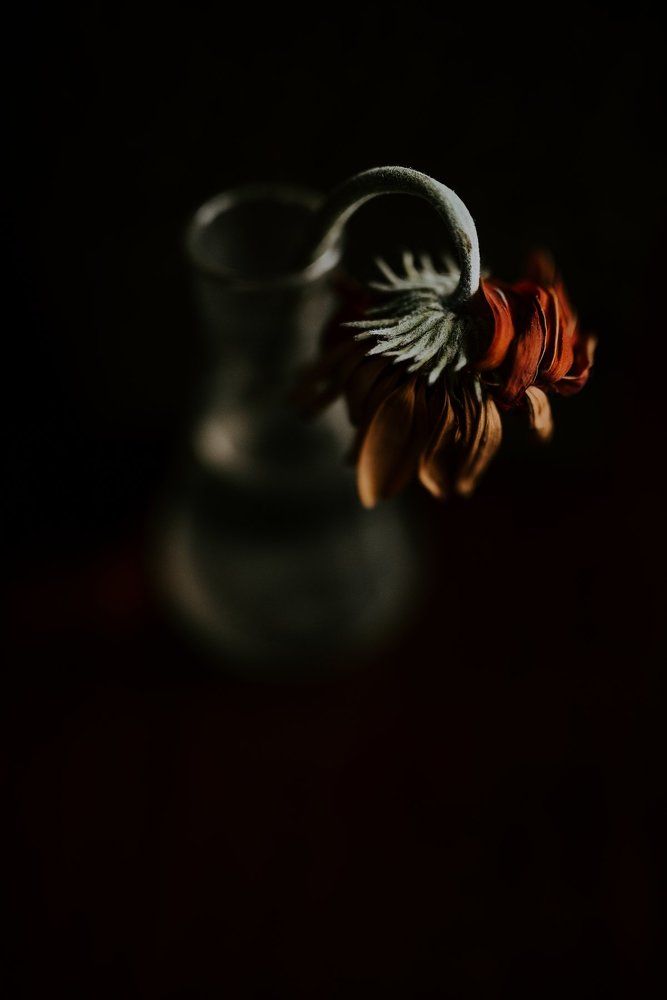 Photograph by ANDREW LAZAR