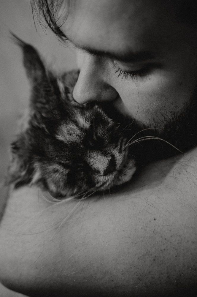 Любовь на кончиках лап