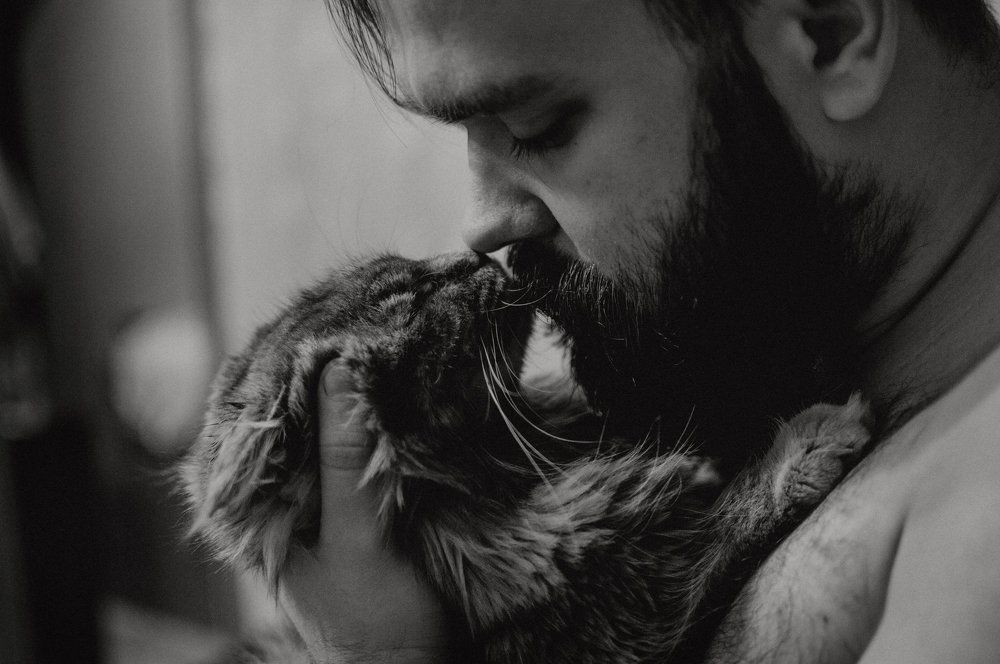 Любовь на кончиках лап