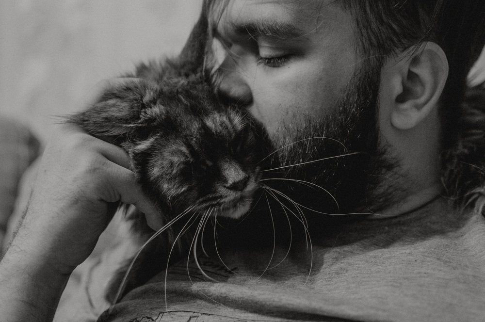 Любовь на кончиках лап