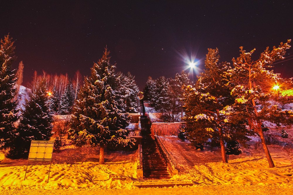 лунный свет