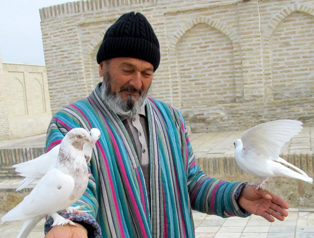 Узбекский голубевод. Узбекистан