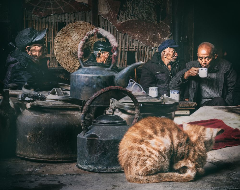 Old Men And Cat