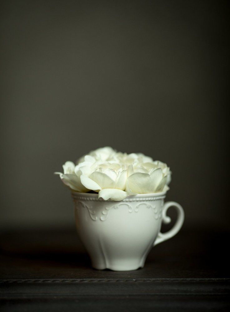 чайная роза