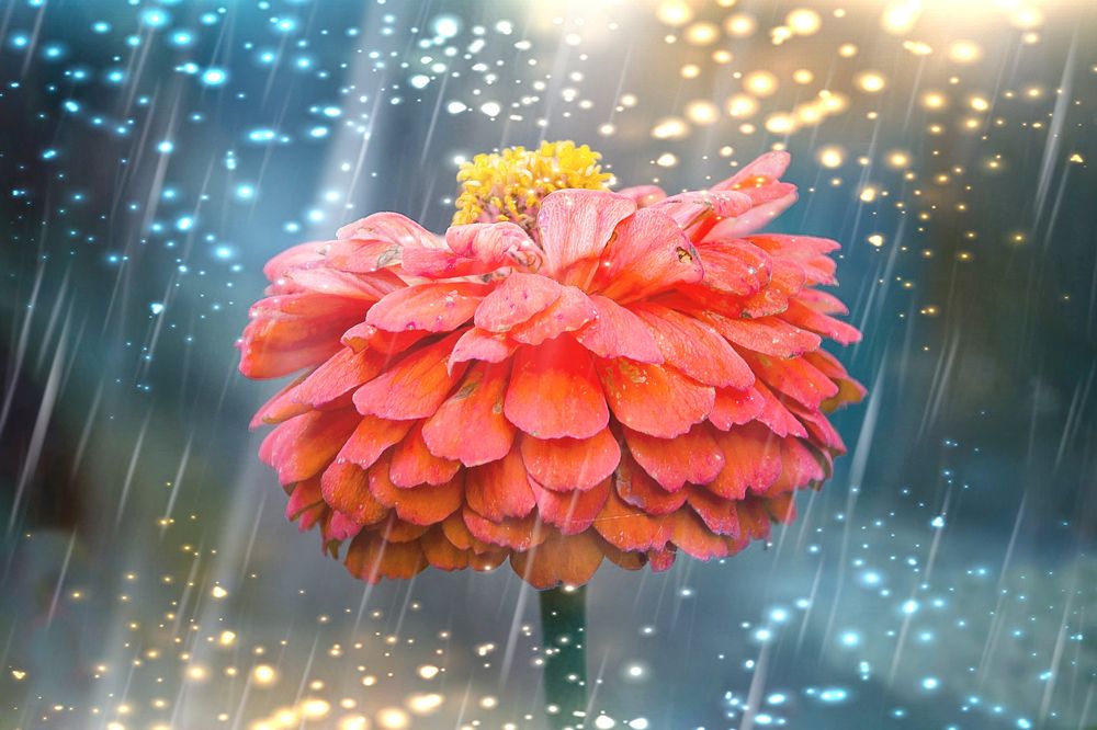 Photograph by Олеся