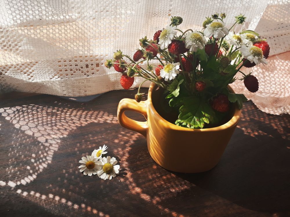 Лето - это маленькая жизнь