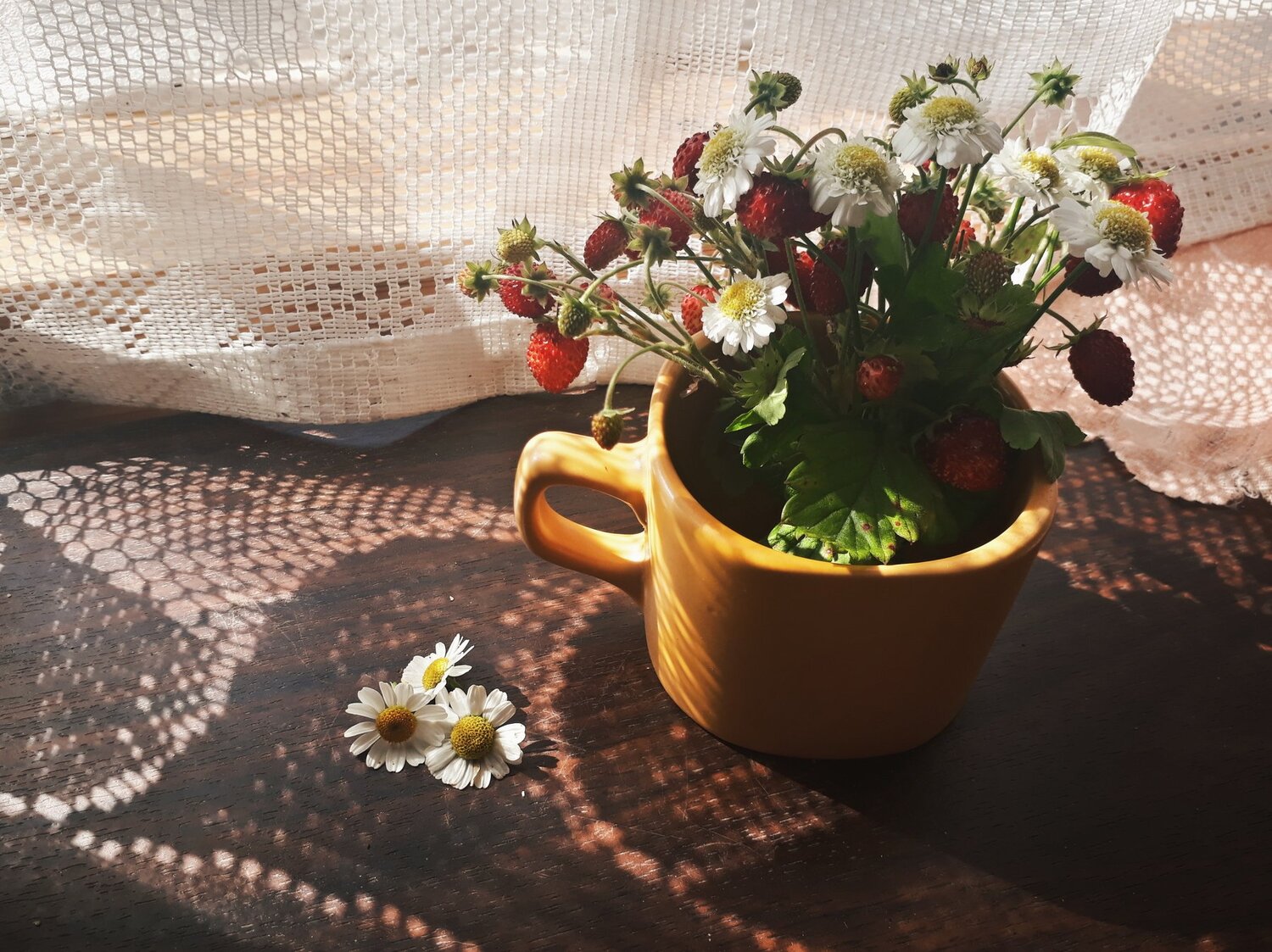 Лето - это маленькая жизнь