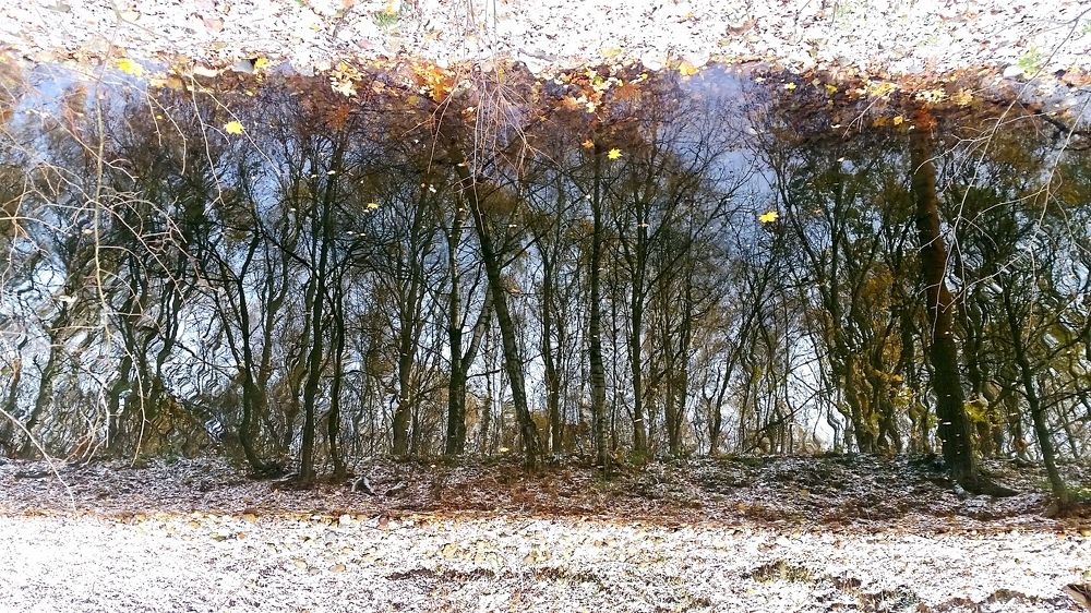 Первый снег