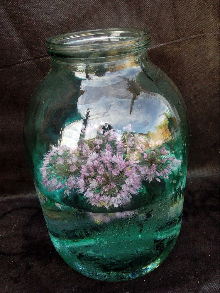 цветы в банке...