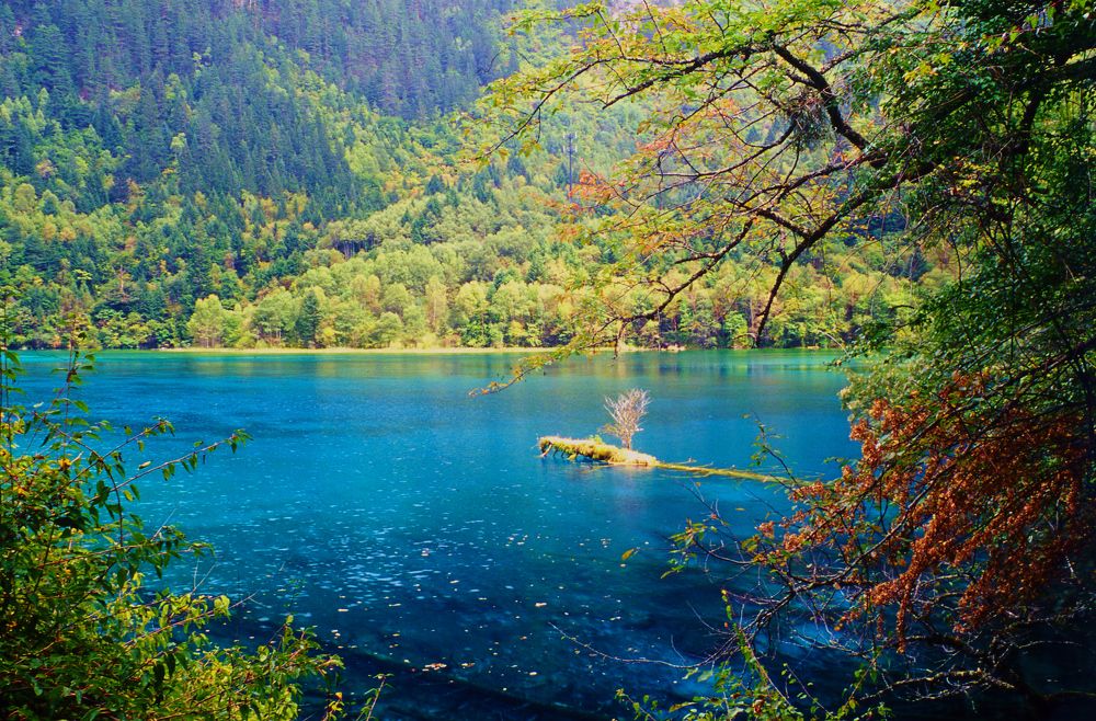 Jiuzhaigou, sichuan province, China
