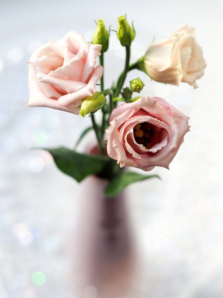 Нежный букет