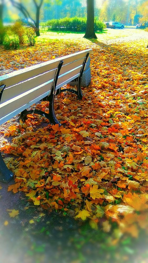 Золотая осень