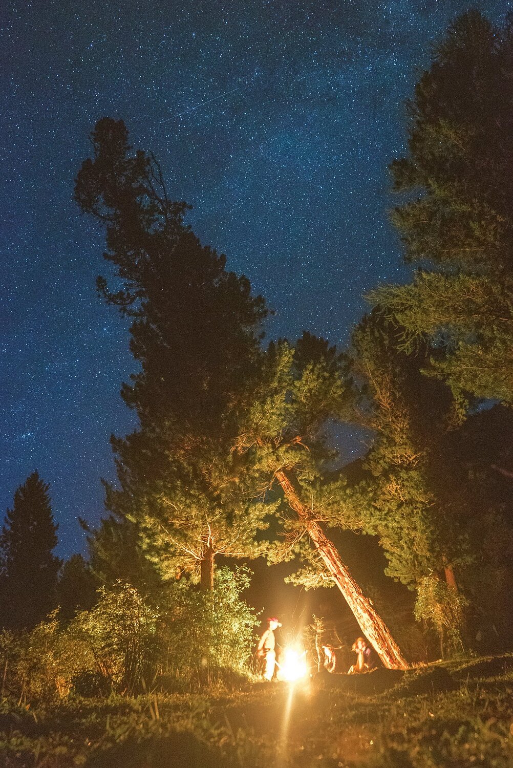 Ужин при звездопаде.