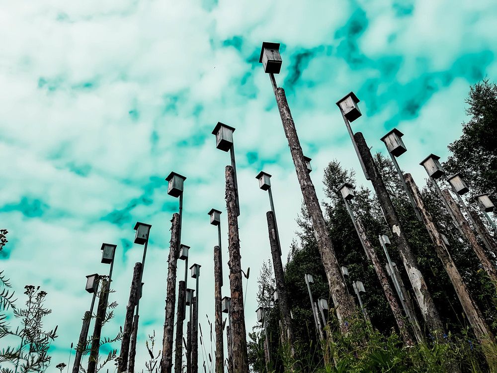 Photograph by Ксения Корсакова