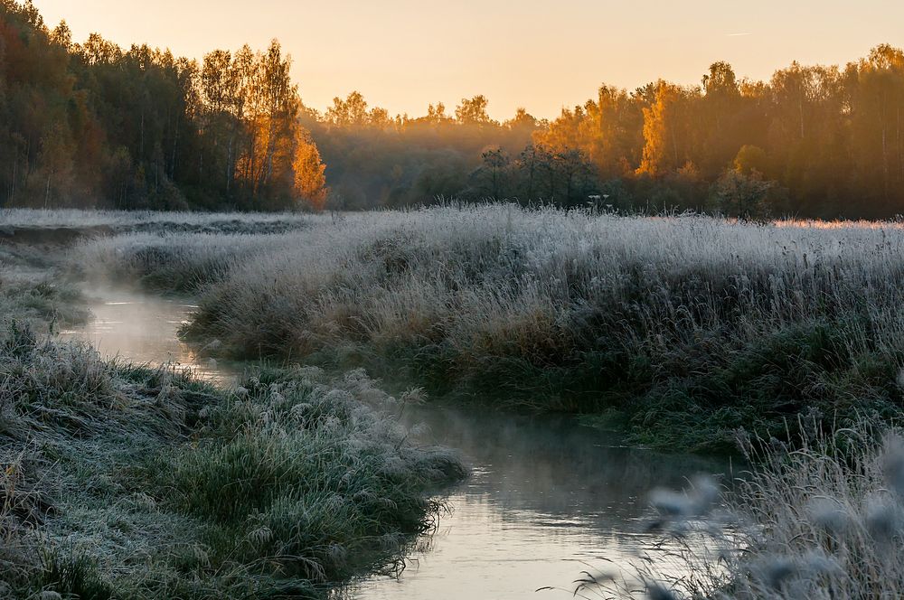 Золотой час