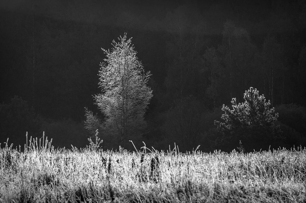 Фотография автора Yakovlev Artur