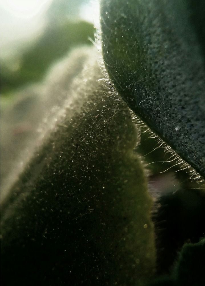 Photograph by Анна Аверьянова