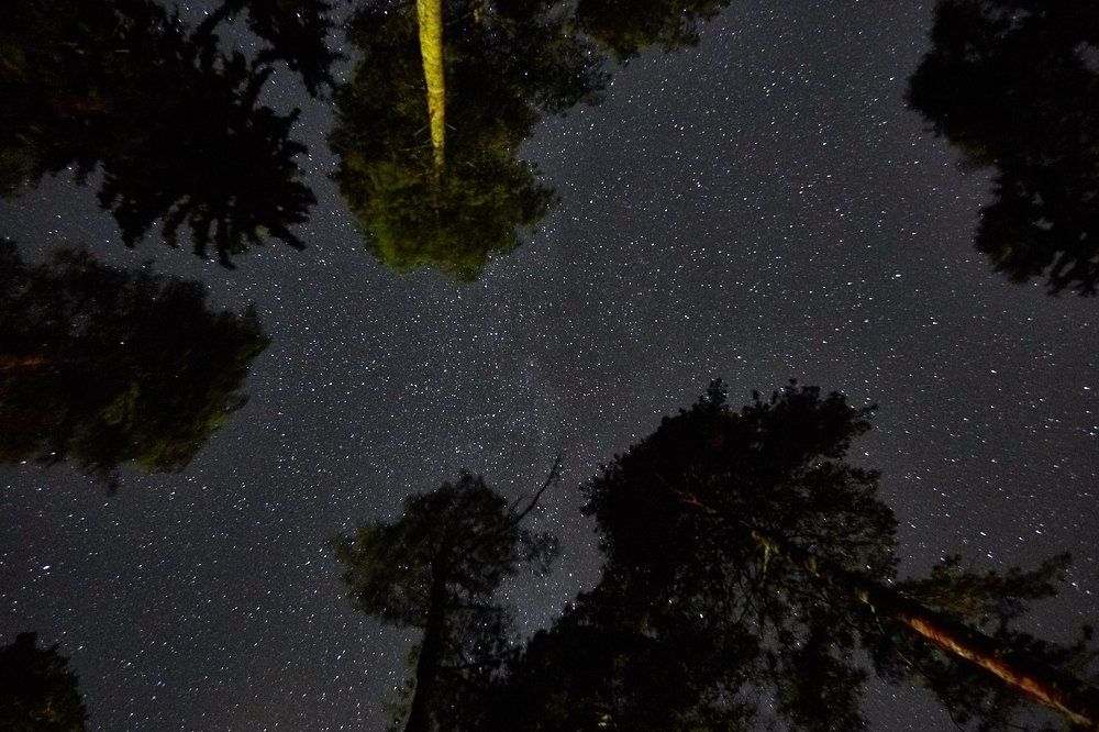 Небо в алмазах