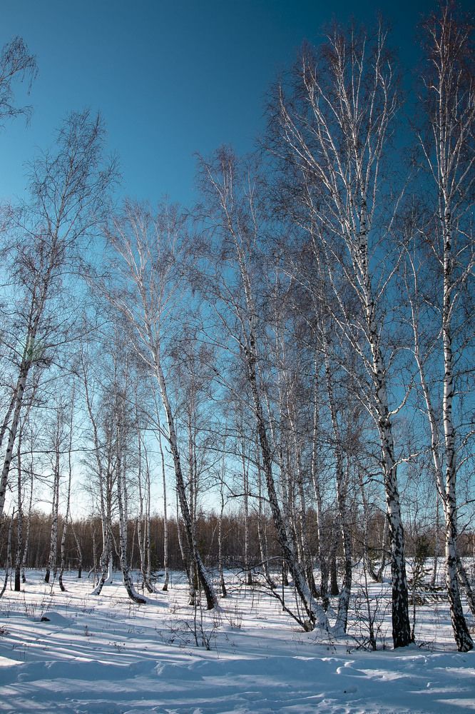 Зимушка зима 2