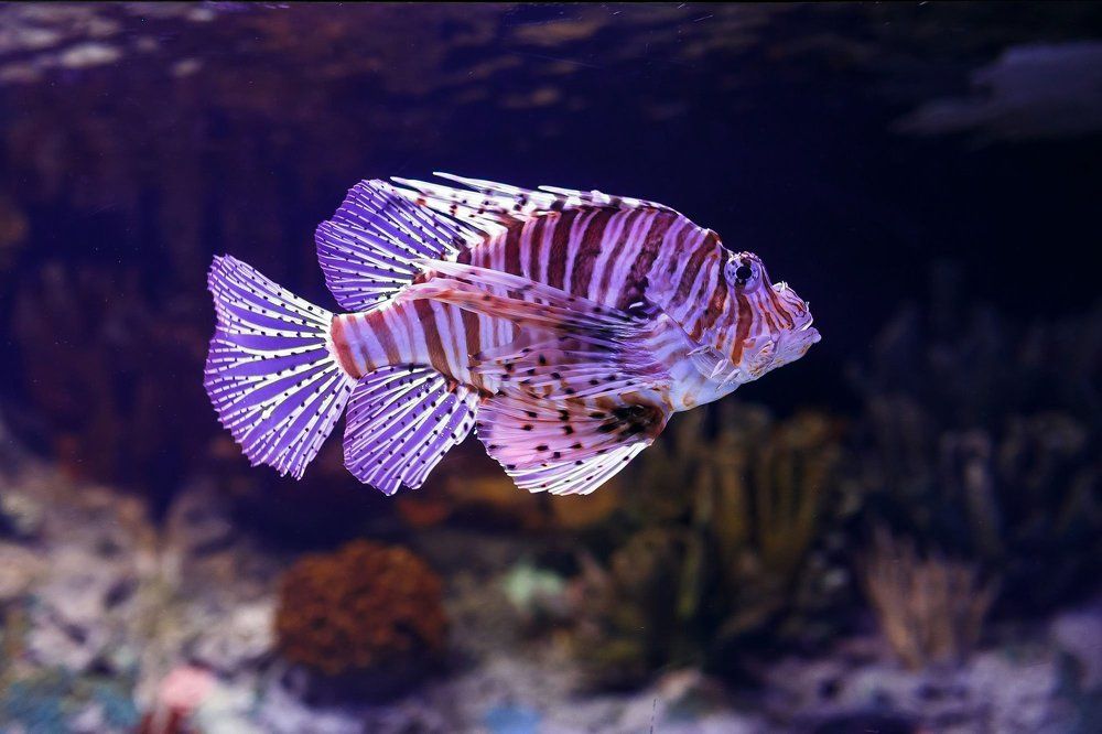 Photograph by Сергей Фомченков