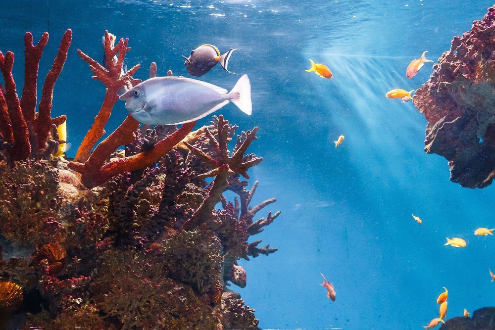 Photograph by Сергей Фомченков