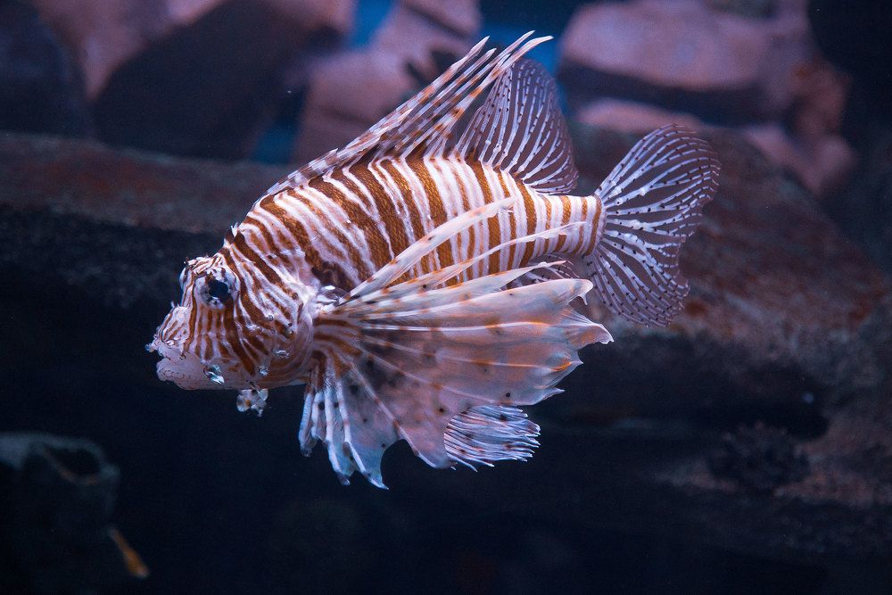 Photograph by Сергей Фомченков