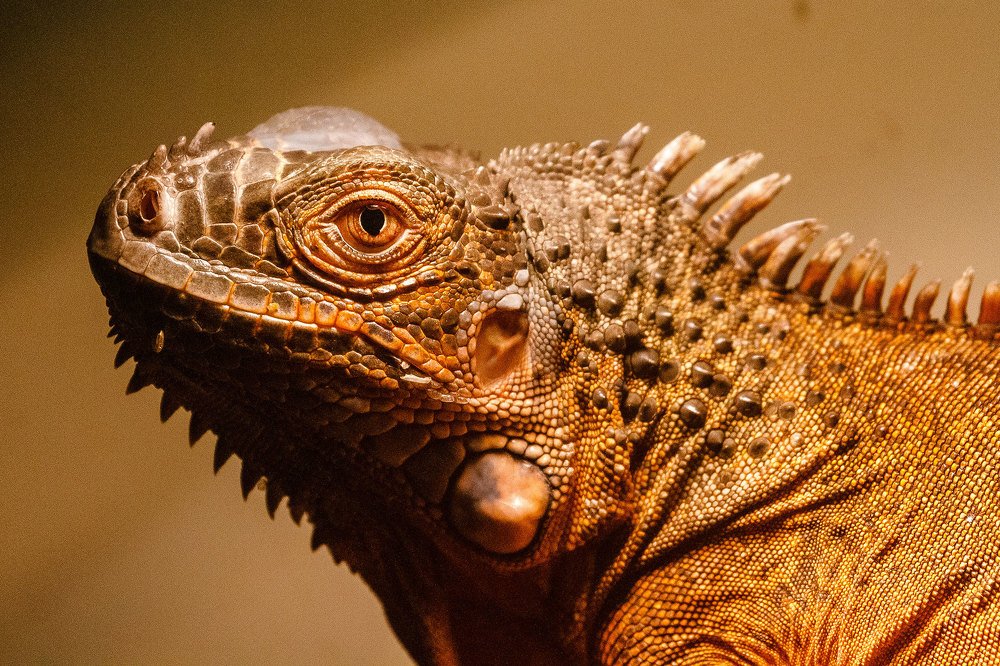 Photograph by Сергей Фомченков