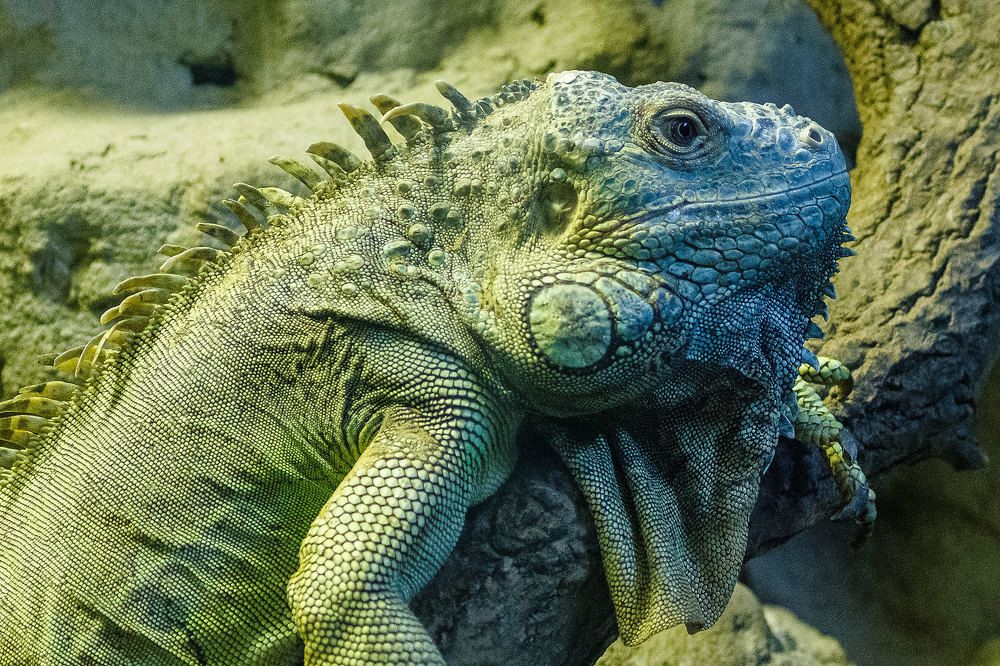 Photograph by Сергей Фомченков