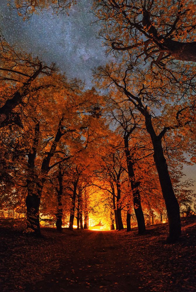 Аллея осенних звезд