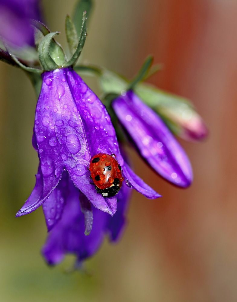 Photograph by Игорь Осипов