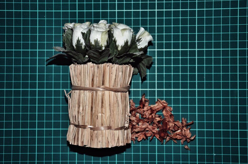 Dead Jasmine and Roses