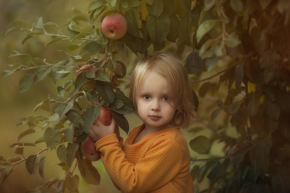 Яблочный спас