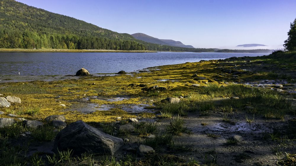 Белое море. Утро.