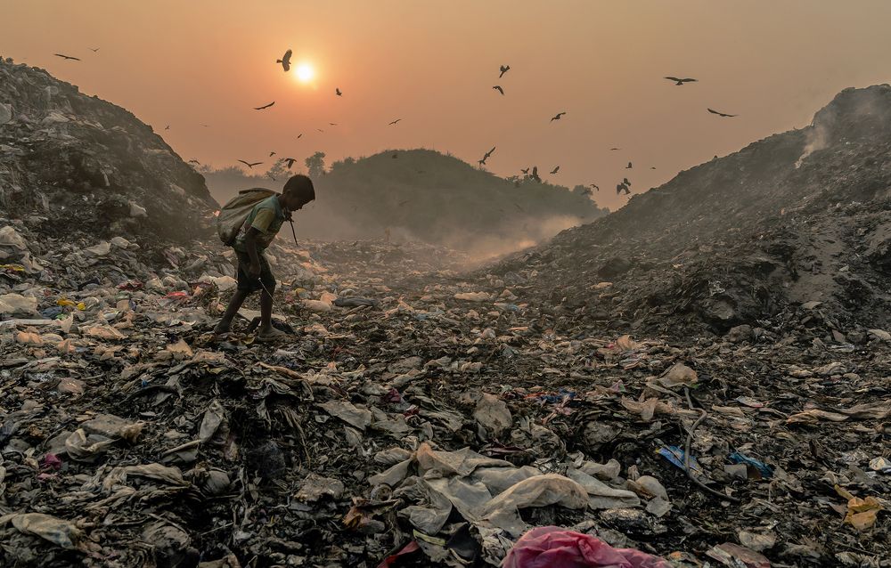 Searching For Living