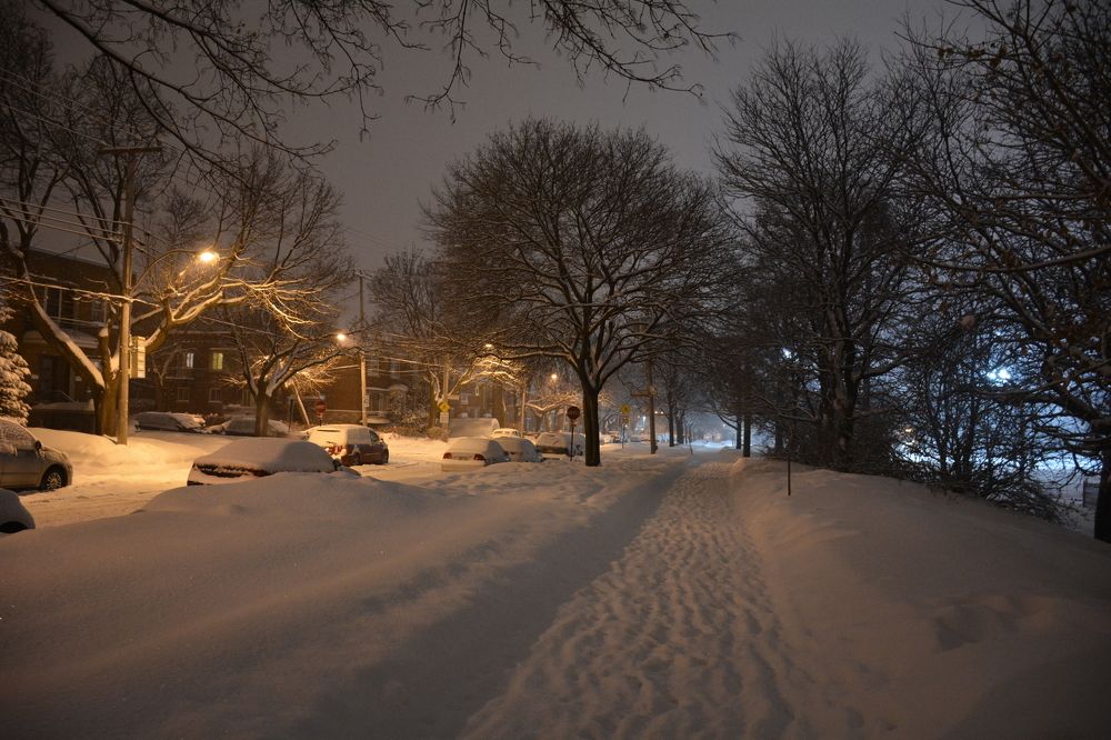 Фотография автора Дмитрий