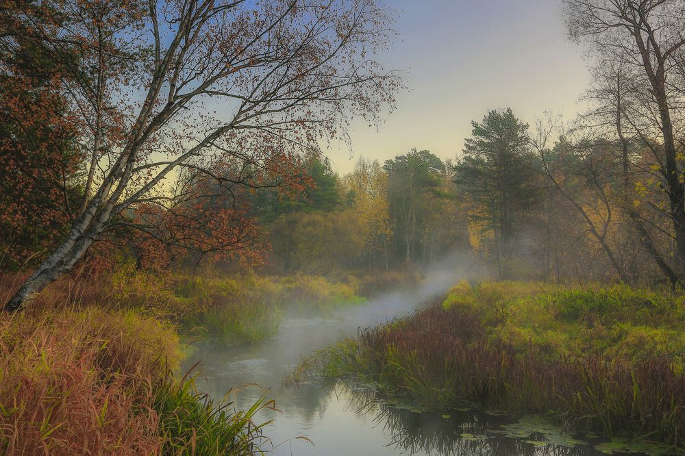 Осенняя зарисовка