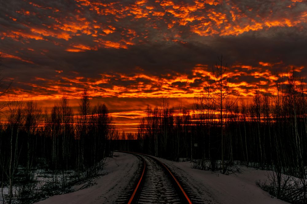 Алая заря