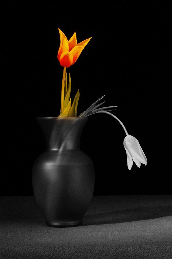 Жизнь коротка