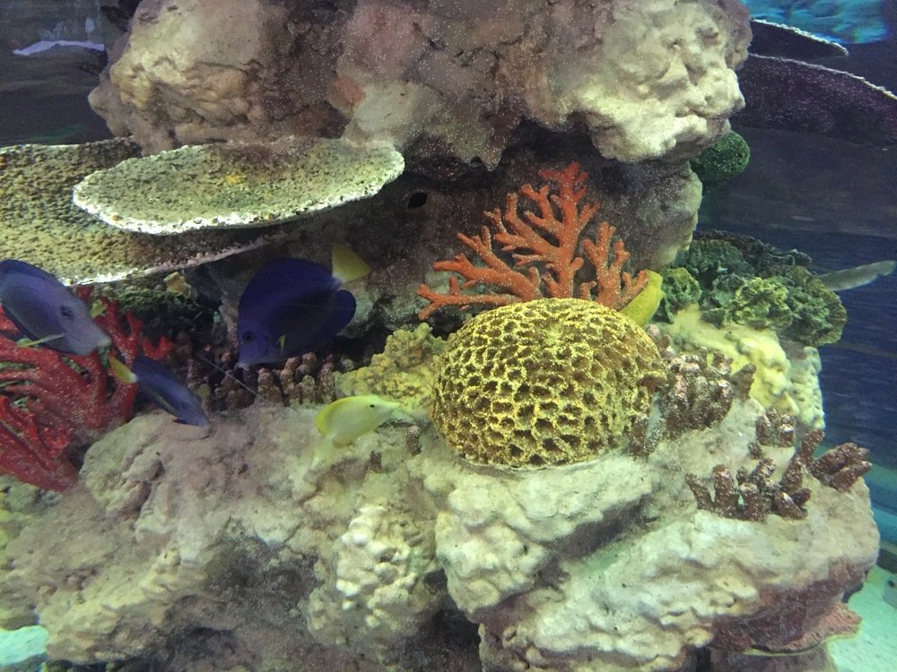 Photograph by Меруерт