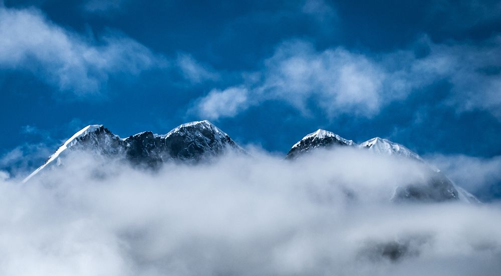 Корона Алтая