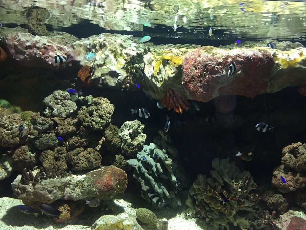 Photograph by Меруерт