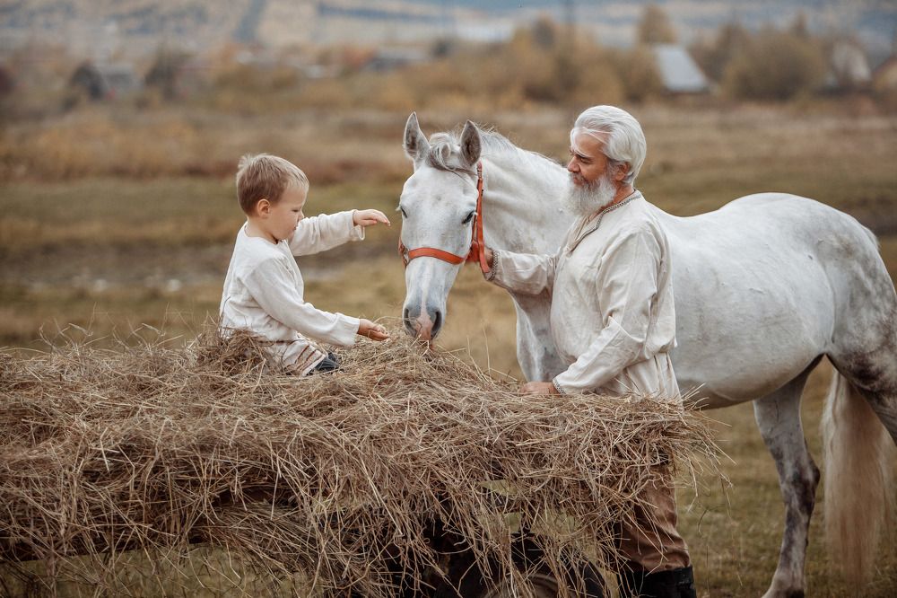 Один день из жизни деда Михаила и Евдокима