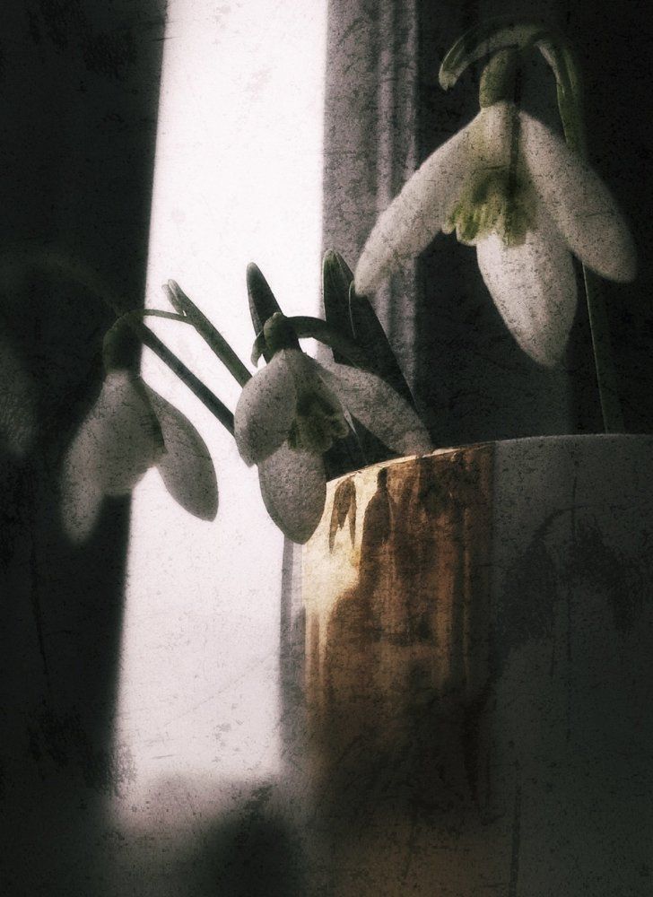 Photograph by Людмила М