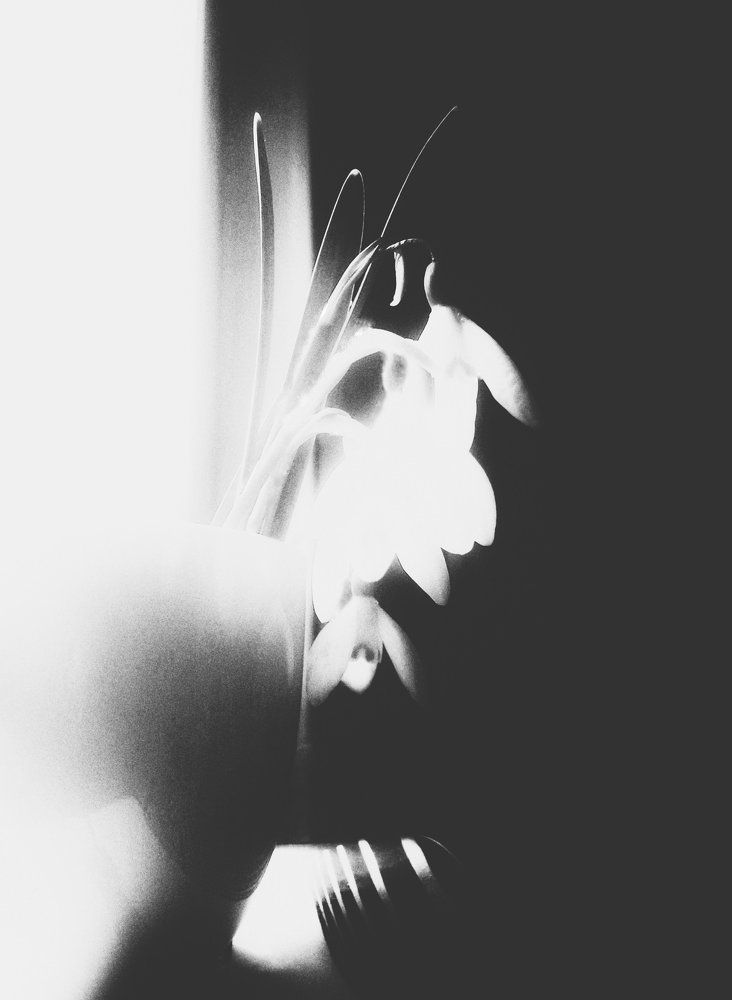 Photograph by Людмила М