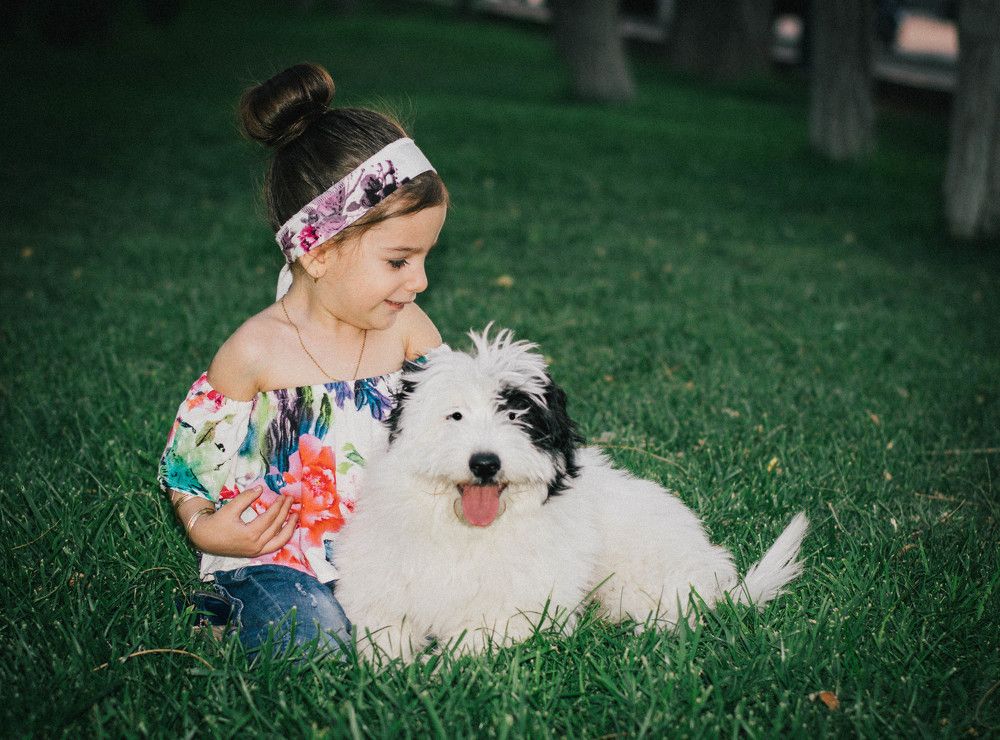 Photograph by fares Moghadam