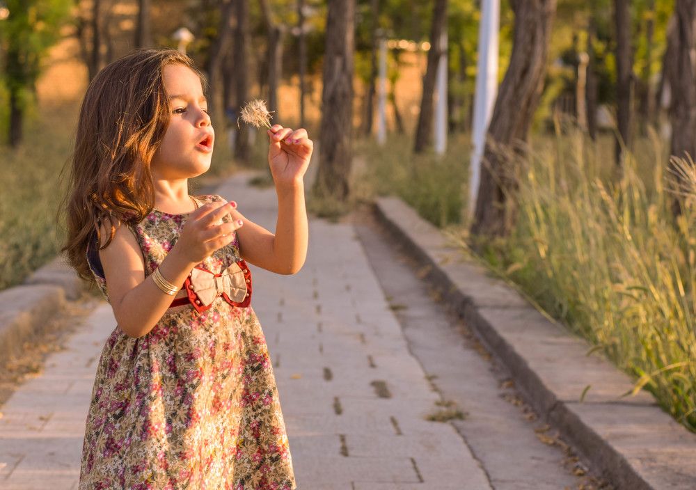 Photograph by fares Moghadam