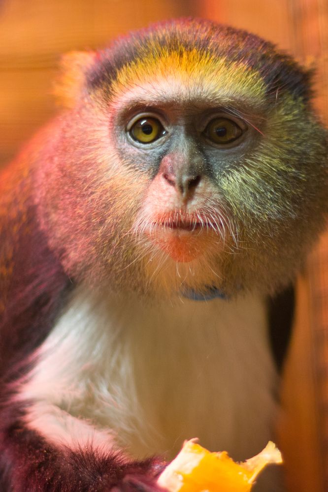 Смотрим в кадр, не моргать!