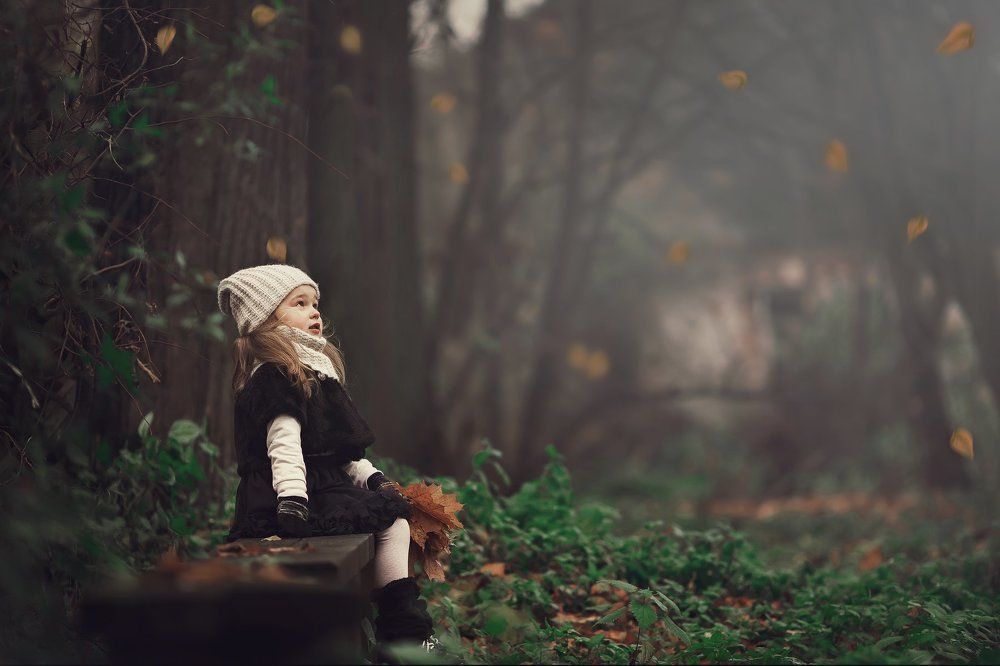 Фотография автора Александр Калинин