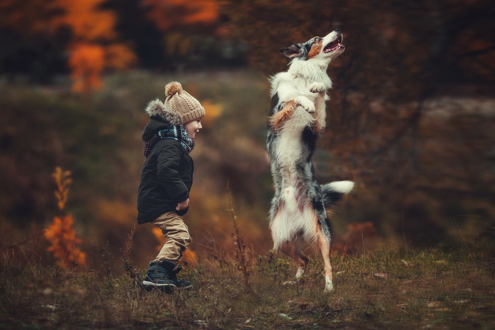 Photograph by Александр Калинин